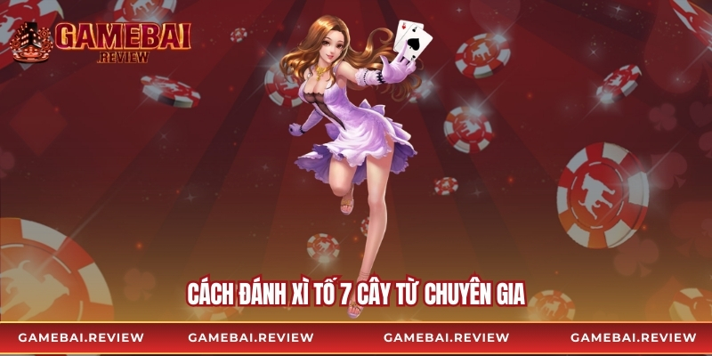 Cách đánh Xì Tố 7 cây từ chuyên gia